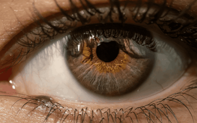 EL COLOR DE OJOS